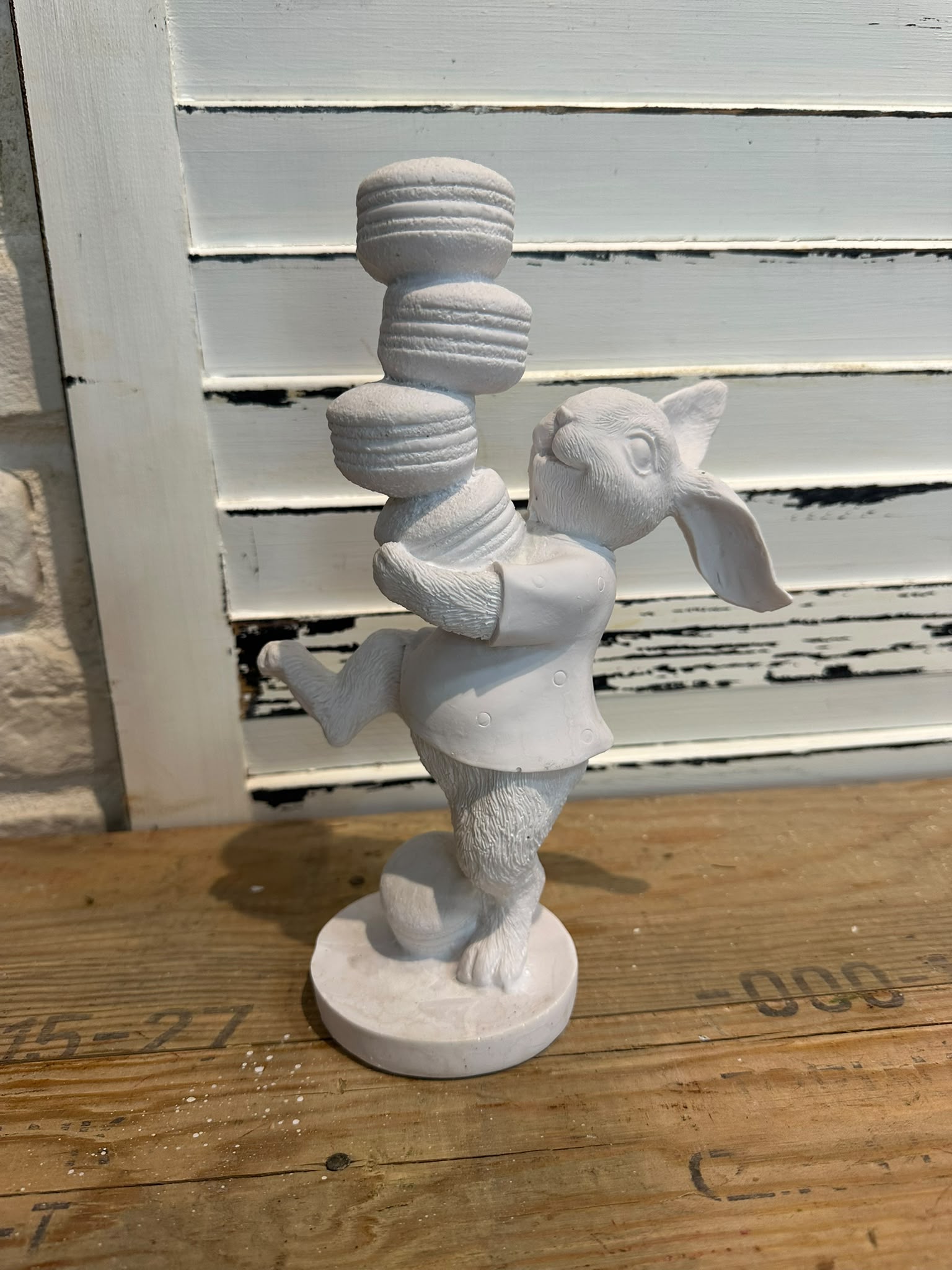 Macaron taşıyan tavşan